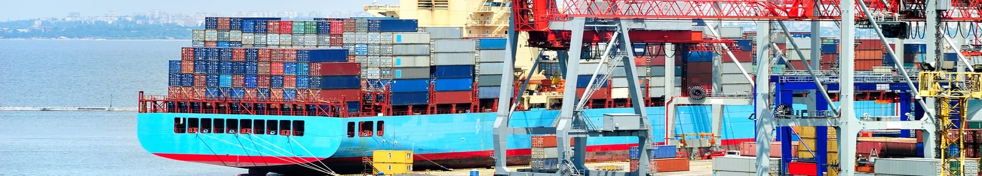 Header Image of The Now and Next in International Trade