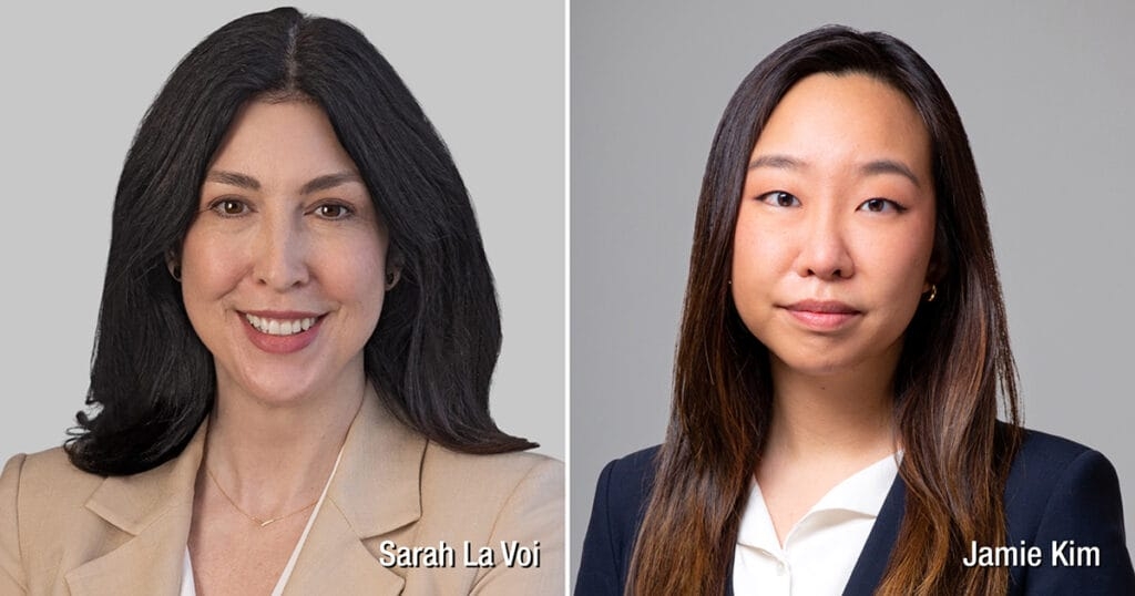 Sarah La Voi, Jamie Kim Comment on Selling Ads on Your Website in Corporate Counsel Article