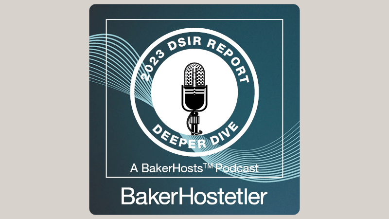 2023 DSIR Report Deeper Dive