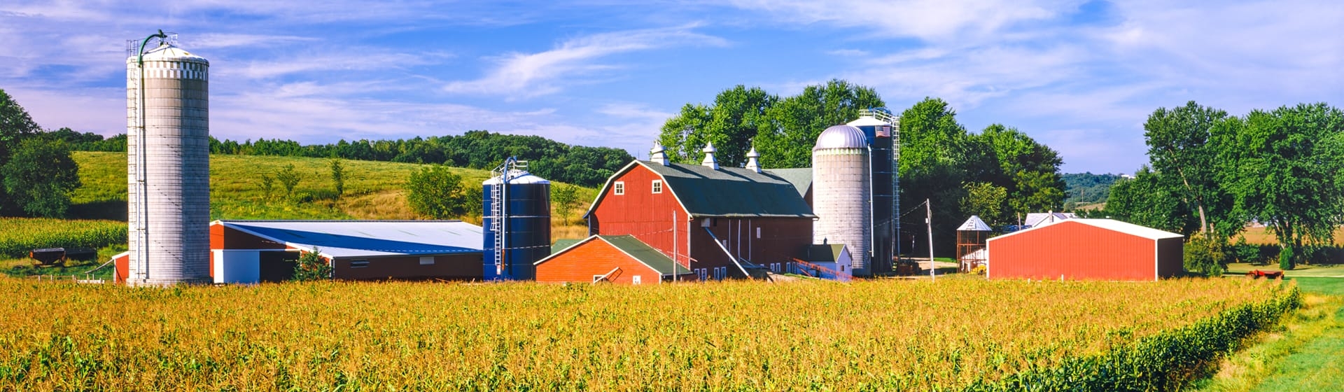 Featured Image of Agricultural Trade Law and Policy